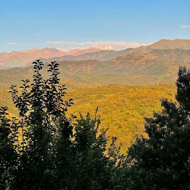 🇰🇿🍎 “Almaty on $100: 2 Days of Beauty, Bazaars & Big Mountains”