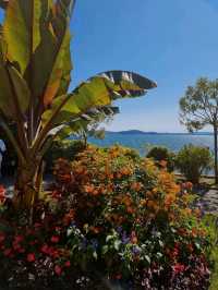 Isola Madre: The Secret Garden of Lake Maggiore