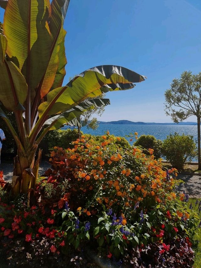 Isola Madre: The Secret Garden of Lake Maggiore