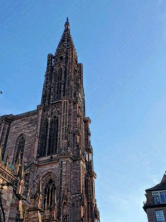🏰✨ “Alsace Charm: A Day in Strasbourg” 🇫🇷