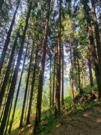 🏞️ Hiking to Horses' Waterfall (Cascada Cailor), Maramureș, Romania