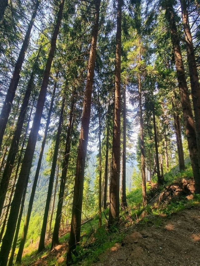 🏞️ Hiking to Horses' Waterfall (Cascada Cailor), Maramureș, Romania