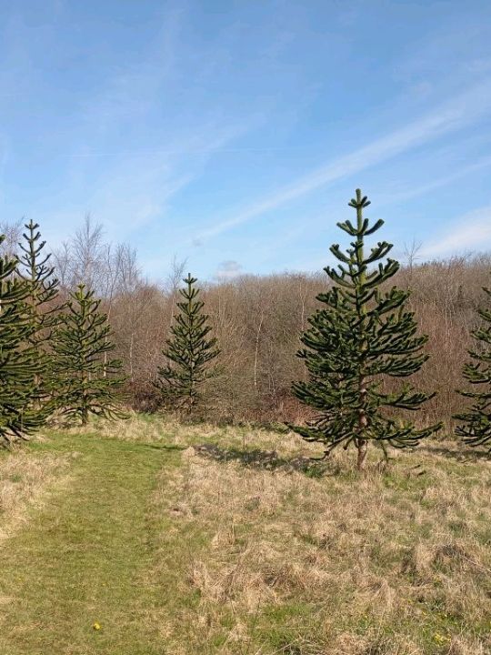 The National Botanic gardens of Wales