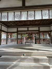 Nara’s Enchanting Shrines & Sacred Deer Encounters