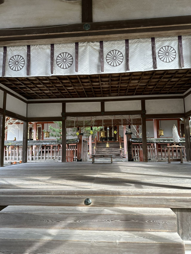 Nara’s Enchanting Shrines & Sacred Deer Encounters