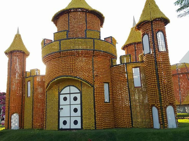 Where Dreams Bloom: Dubai Miracle Garden 🇦🇪