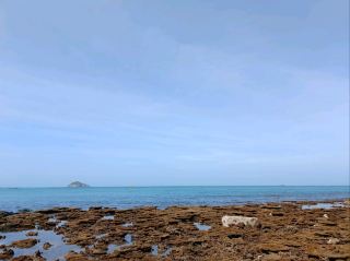 #vietnamtrip #vietnamtravel #vietnamvibes 
Côn Đảo – Vietnam’s Hidden Island Paradise
Dreaming of turquoise waters and untouched beaches? Head to Côn Đảo, one of Vietnam’s most beautiful island destinations. Getting there is easy: take a direct flight from Ho Chi Minh City or Hanoi to Côn Đảo Airport, which is conveniently located just minutes from the beach.
Once you land, you’ll be greeted by stunning coastlines, crystal-clear waters, and soft white sand perfect for swimming, snorkeling, or simply relaxing under the sun. The island is known for its peaceful atmosphere, making it ideal for a quiet escape from the city hustle.
With the airport so close to the main beaches, you can start your island adventure right after arrival. Whether you’re exploring hidden coves or enjoying fresh seafood by the sea, Côn Đảo offers a unique blend of natural beauty and convenience.
Your next tropical getaway is just a short flight away!