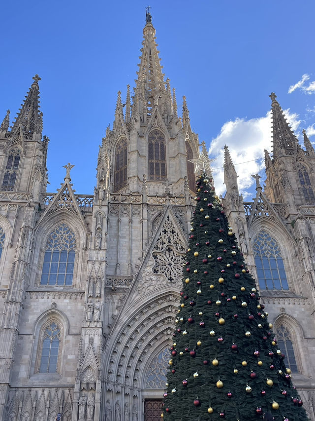 🇪🇸Spain, Barcelona 6日で回る旅行プラン✈️