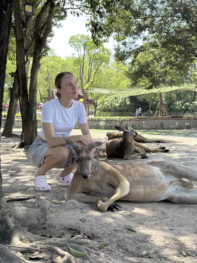 A Day with Animals at Shanghai Wild Animal Park