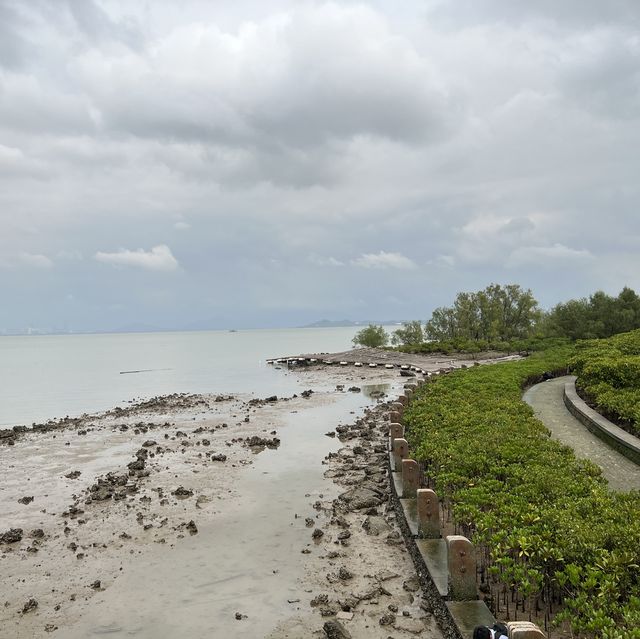 打卡深圳灣流花山公園