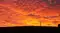 aveline_6881