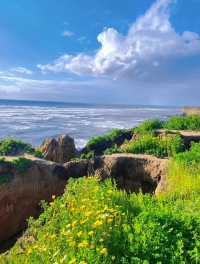 Hiking route, walking along the cliff flower sea may bring you peace...