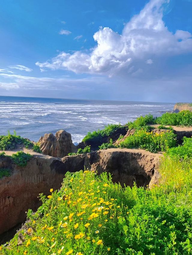 Hiking route, walking along the cliff flower sea may bring you peace...