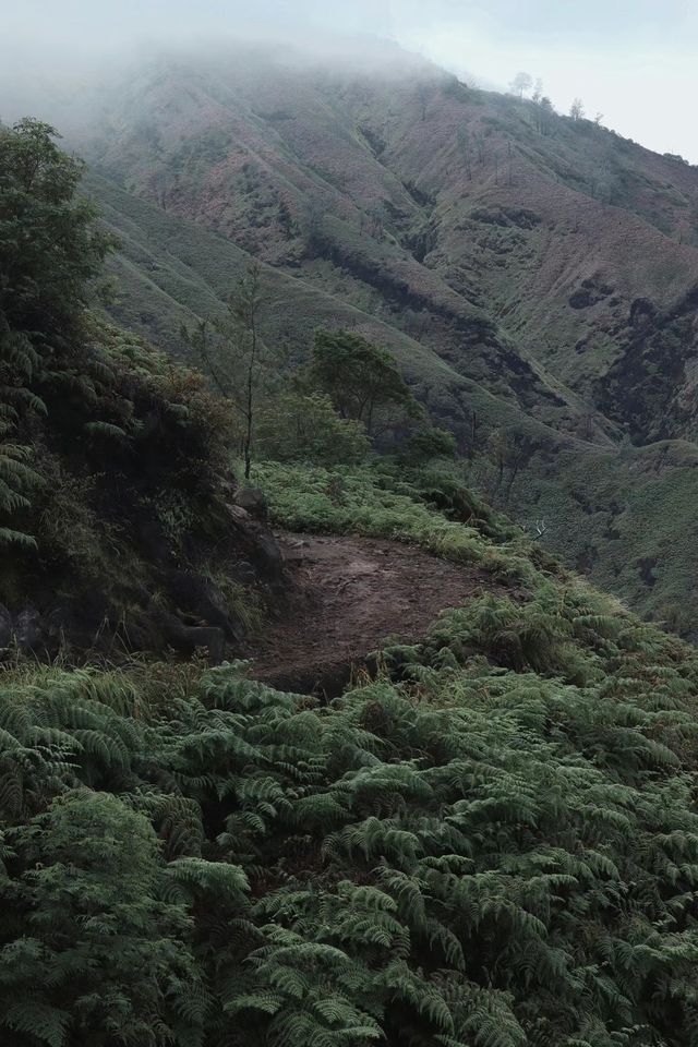 The wonderful scenery inside the volcano crater.