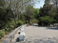 A Park that Overlooks Forbidden City!🇨🇳