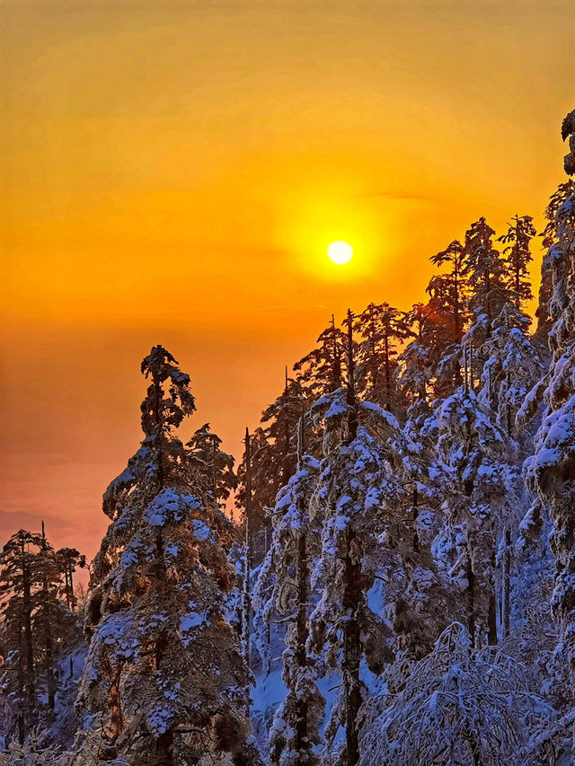 成都周邊｜比北海道還美的夢幻雪國森林|||