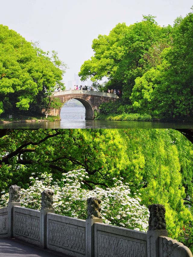 蘇堤春曉，蘇東坡創造西湖十景之首