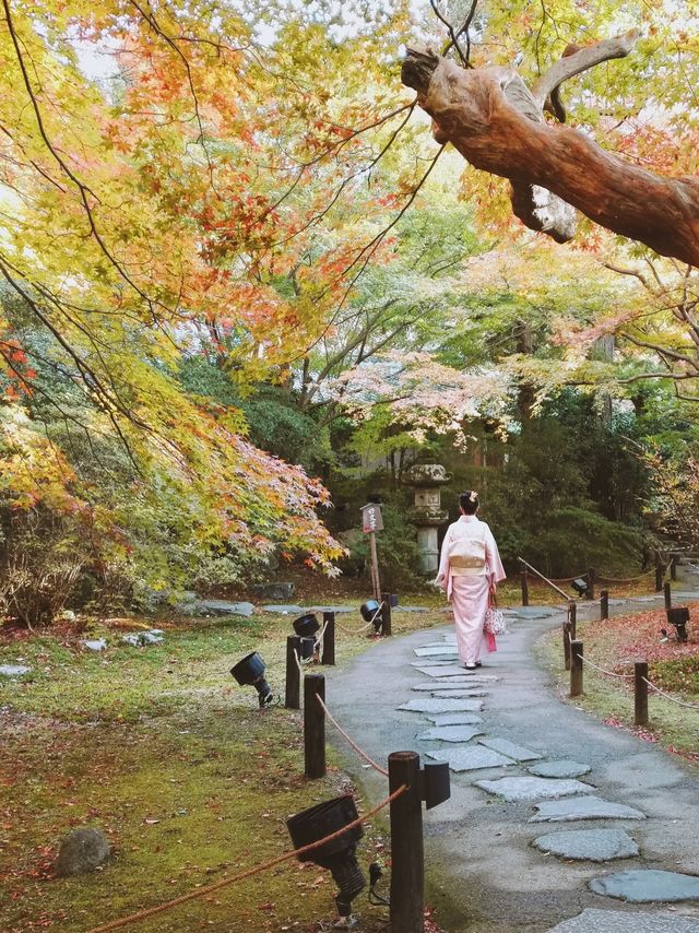 京都青蓮院，好適合一個人呆一整天