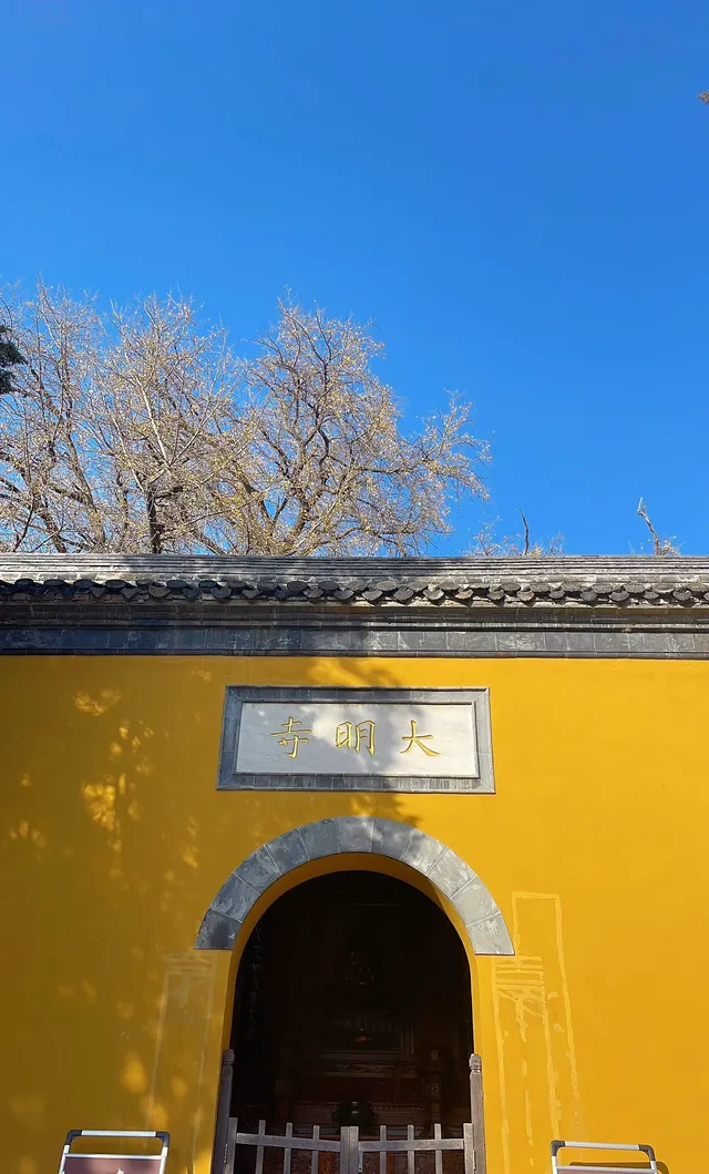 在揚州賞銀杏，又怎麼能錯過千年古剎大明寺