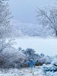 上海當日往返人回來了，魂還在冰天雪地
