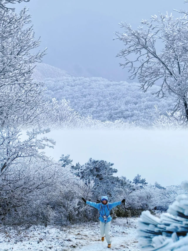 上海當日往返人回來了，魂還在冰天雪地