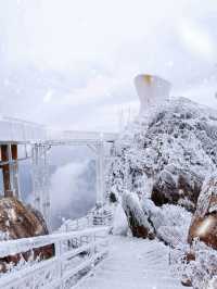 本週下雪不出省！廣東金子山迎來第一場雪