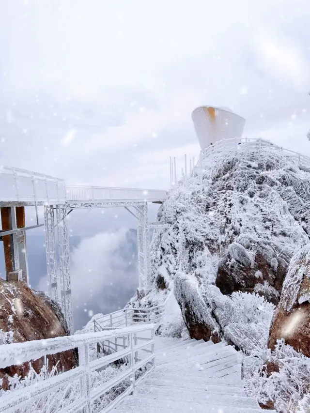 No going out of the province due to snow this week! Jinzi Mountain in Guangdong welcomes its first snowfall