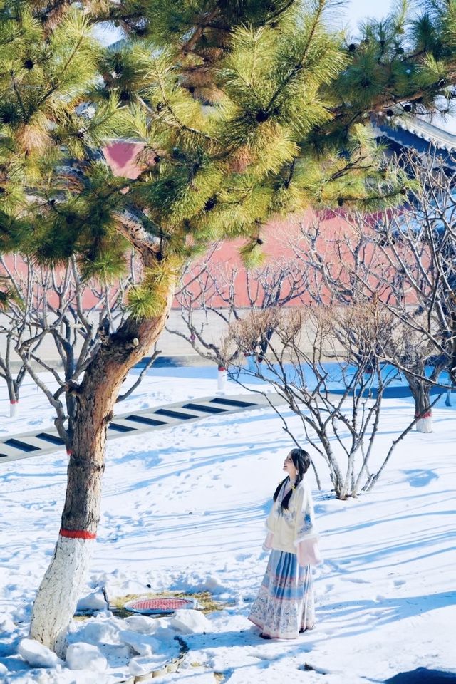 冬天淡季來山西大同旅遊，真的太香了！