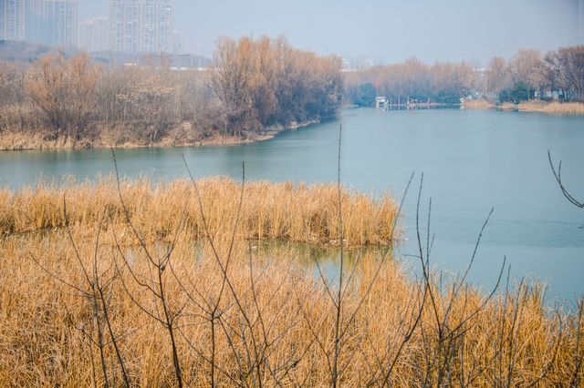 河南鄭州 中牟雁鳴湖 | 城市裡的原生態