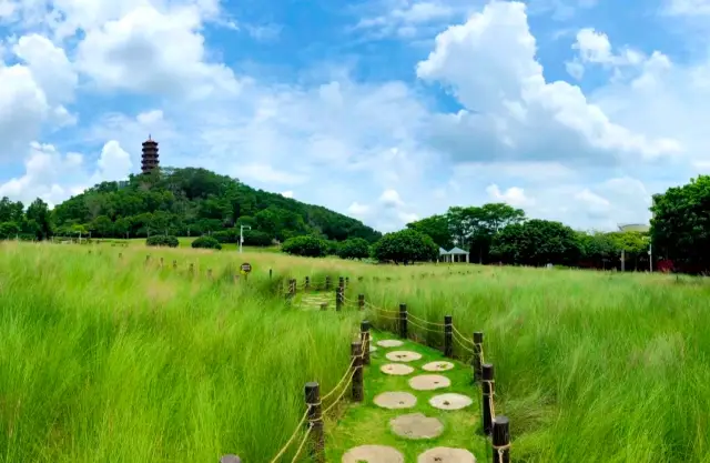 這裡是宮崎駿的夏天