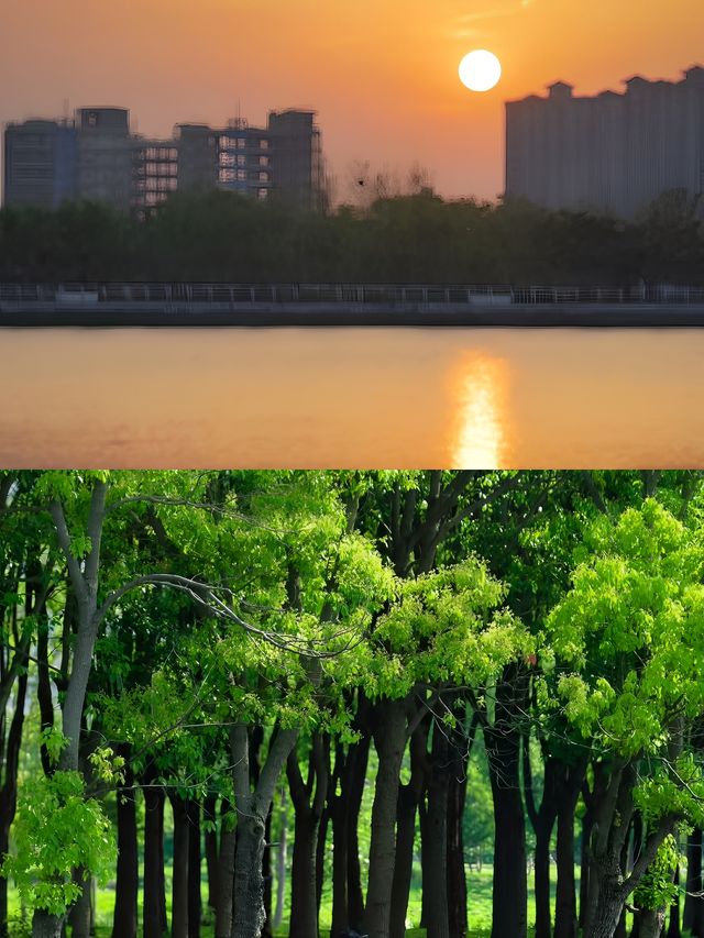 走過最舒服的徒步路線泰上海竟藏了座小綠