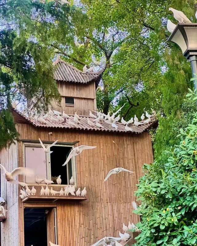 鄭州寒假有一不花錢的快樂強烈建議點贊收藏
