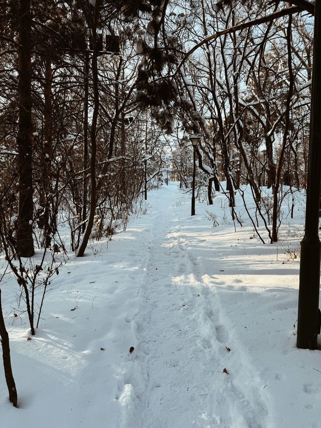 牡丹江｜北山公園｜冬天的北山