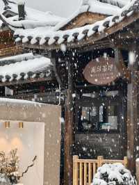 2024年的第一場雪，我在雨印茶坪看的