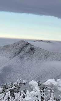 龍王山下雪了！