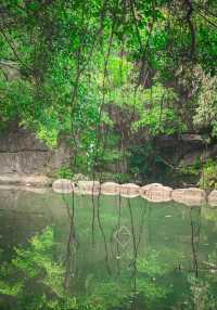 綠野仙蹤的森林公園，可拍照可遛娃可帶狗！！