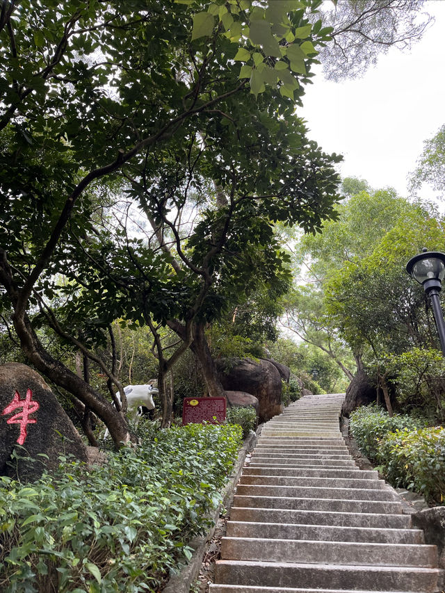 石花山公園 石花山公園