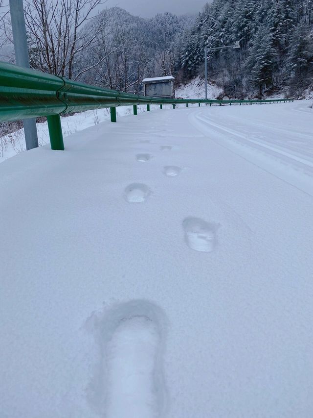 重慶巫溪紅池壩｜遠離喧囂與嘈雜的水墨雪景