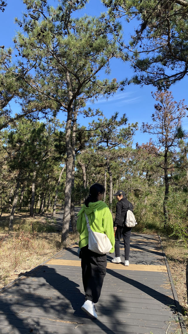 漫遊威海，在威海撿蘑菇是什麼體驗