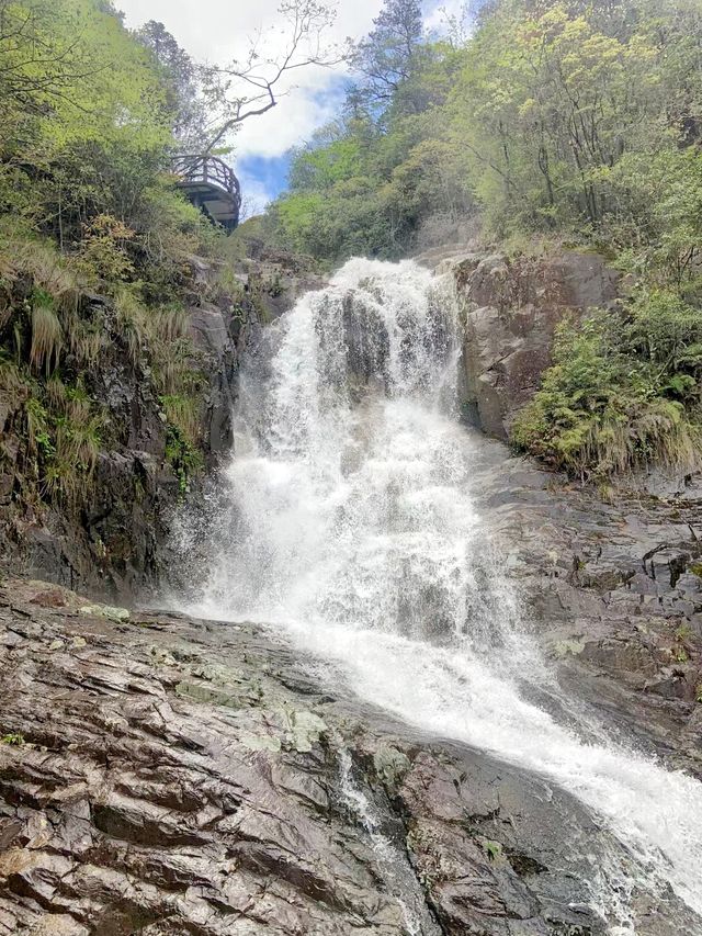小眾旅遊地百山祖
