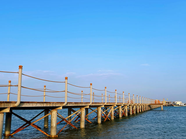 埃及紅海日出而起日落狂歡