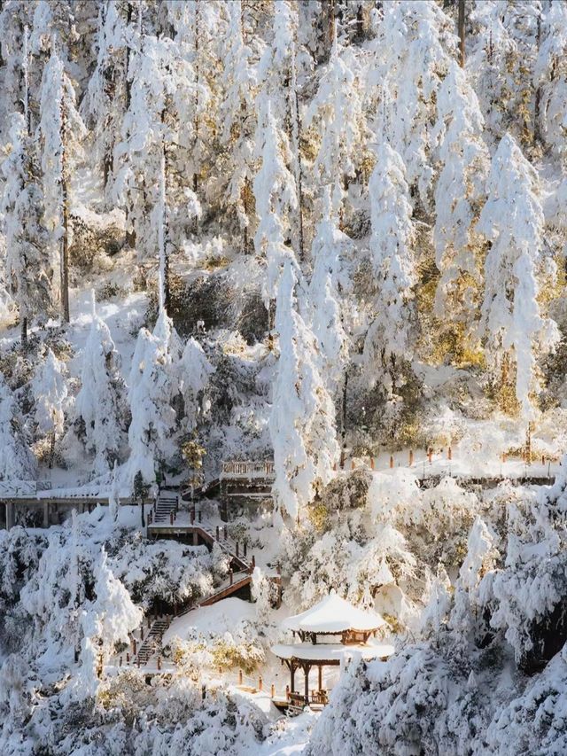 不要錯過南方的冰雪世界哦～