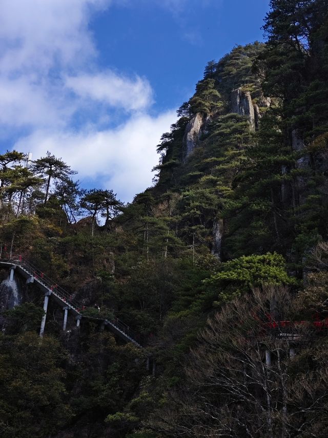 羊獅慕||見山，看山！