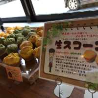 『佐賀縣小城市的寧靜之旅』