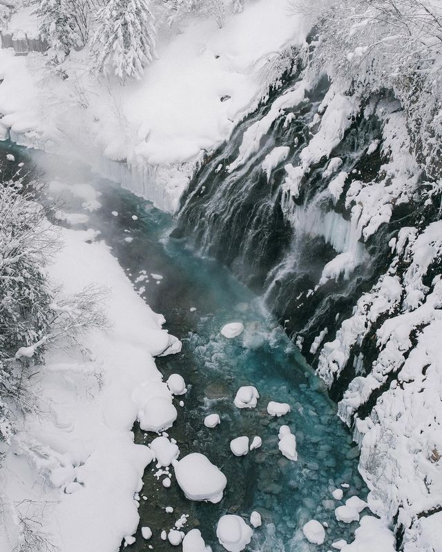 그래요. 올해는 홋카이도 어디로 떠나볼까요❄️