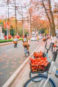 廣州拍照·離開廣州前一定要去一次陵園西路！