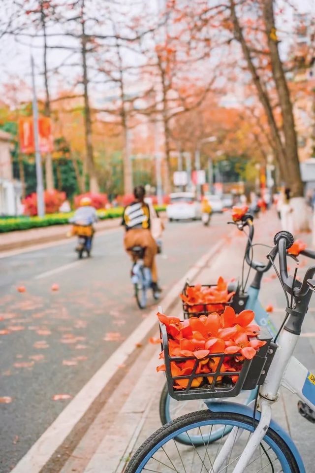 廣州拍照·離開廣州前一定要去一次陵園西路！