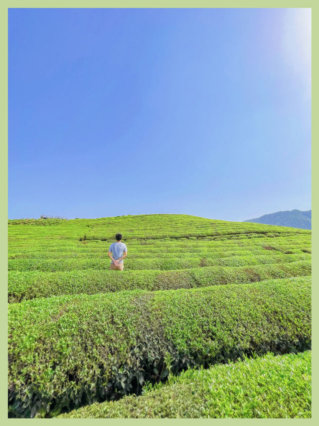 景德鎮旅行每當大地之燈落在天邊它變已落入你的心間