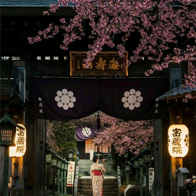 弘前  全日本三大赏樱名所之一