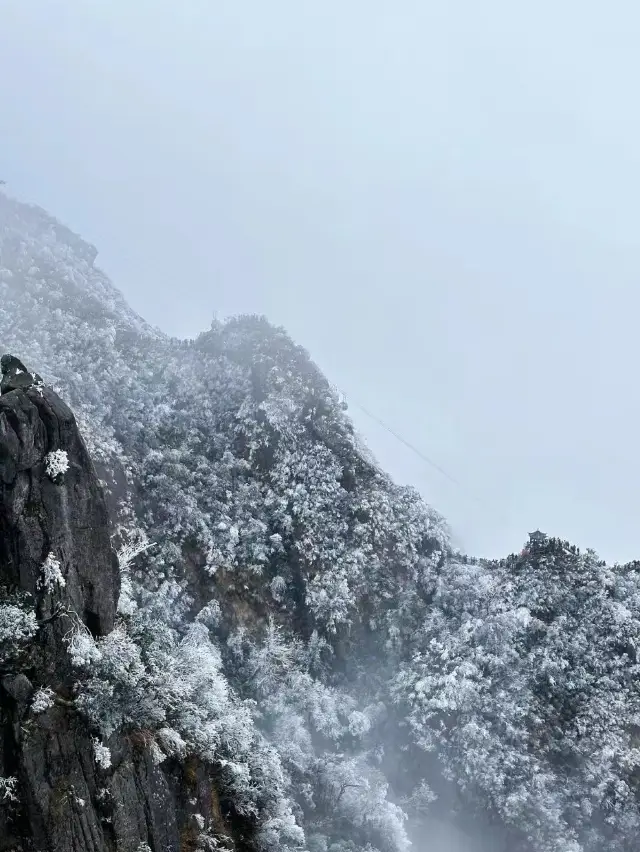 金子山原生态旅行ツアー地区